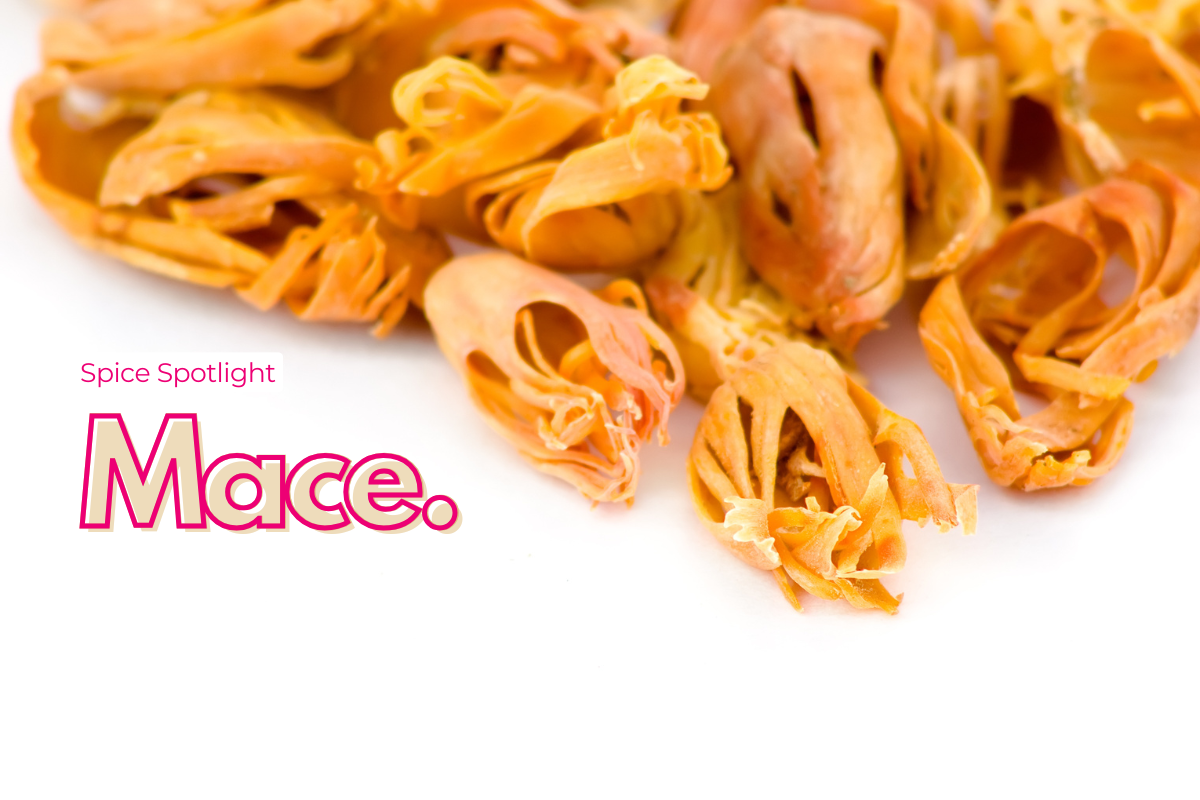 Spice Spotlight : Mace